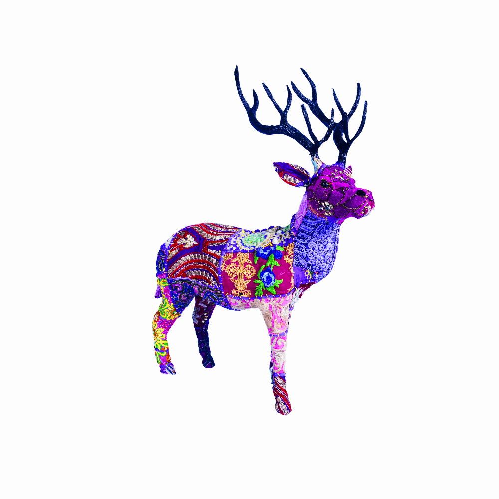 BIP - DEER