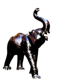 ELEPHANT STANDING